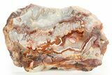 Polished Crazy Lace Agate Slab - Mexico #323866-1